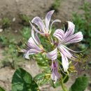 화계농장 이미지