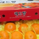 안시농장 이미지