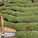 매화꽃필무렵 민박 이미지