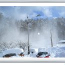 동해자동차병원 이미지