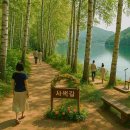 호수길 걷기명상 이미지