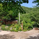 벌 민박 이미지