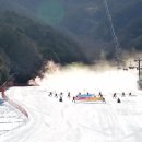 (주)오늘리조트 이미지