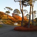 골프주