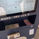 2026 한탄강 봄 가든페스타 포천 펫스타 댕댕트레킹 후기