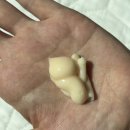 아우라헤어 | 극손상모 홈케어 헤어팩 ; 단백질 헤어팩 추천 아우라아듀라 EX트리트먼트 정착 후기