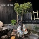 무야 코리아(MOOYA KOREA) | [일본/후쿠오카] 후쿠오카 여행 1일차 🇯🇵