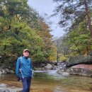 [백두대간]오대산 "노인봉" 소금강계곡 산행기 이미지