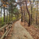 달맞이공원 화장실 이미지