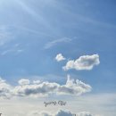 푸른하늘 이미지