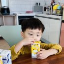 코코베리 키즈풀빌라 이미지