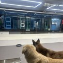 보라눈나 이미지