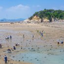 바람의마을 손칼국수 이미지