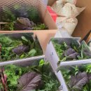 권관농장 이미지