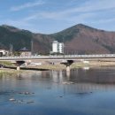 한반도농협 하나로마트 사업소 네이버블로그