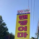 뱃고동 선착장 이미지