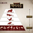 흙속의진주