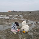 백미길 | 화성 아이랑 갈만한곳 공룡알 화석산지, 백미리 갯벌체험