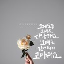 효성태권도 이미지