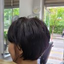 컷트잘하는집 - 안산시 상록구 장화1길 28 | 컷트잘하는집