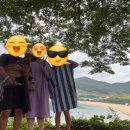 바이올가제주 | 내일 죽을 거 같이 살기의 일환2, 남해여행을 추억하며 (250918-250920)