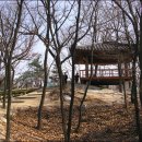 초안산테니스장 이미지