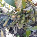 화순성심병원 이미지