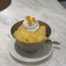 그랜드 조선 제주 아리아 디너 후기 :: 네이버 5만원 할인부터 한라봉 빙수까지 내돈내산 꿀팁