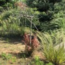 바다의 숲속 이미지