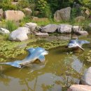 안면도쥬라기박물관 이미지