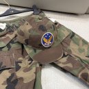 플라주 | RRL 더블알엘 가먼트 다잉 카모 플라주 윙드 로고 트윌 볼캡 모자 내돈내산 후기 & 상세 리뷰!!!
