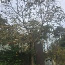 도형농장 이미지