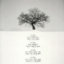 시인과촌장 이미지