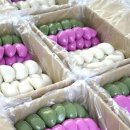 아진동물병원 이미지