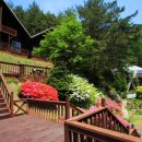 봄여름가을겨울펜션 이미지