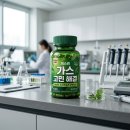 이*균 - 안양시 만안구 안양로467번길 | 게스린 가스억제균 효과 내돈내산 후기 및 꼭 확인해야 할 3가지