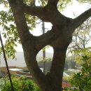 청량사 입구 이미지