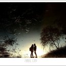 Lee 헤어 - 인제군 | Lee 헤어