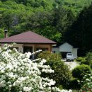 예촌농원 이미지