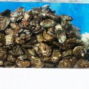 태인체육공원 이미지