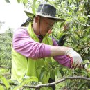 당동2리 이미지