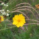 삼인농장 이미지