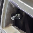 개미카센타 이미지