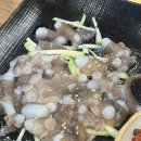 회양수산부