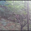 폐기물처리시설 삼거리 이미지