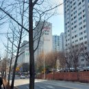 신나무머리방