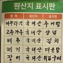 논뚜렁 메기