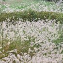 김영석 행정사 이미지