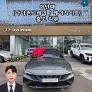 마스터안전카 | 국민차 아반떼 아마존그레이/베이지시트 출고 후기(현대자동차 천안번영로대리점 신영철 카마스터)