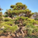 정암농장 이미지